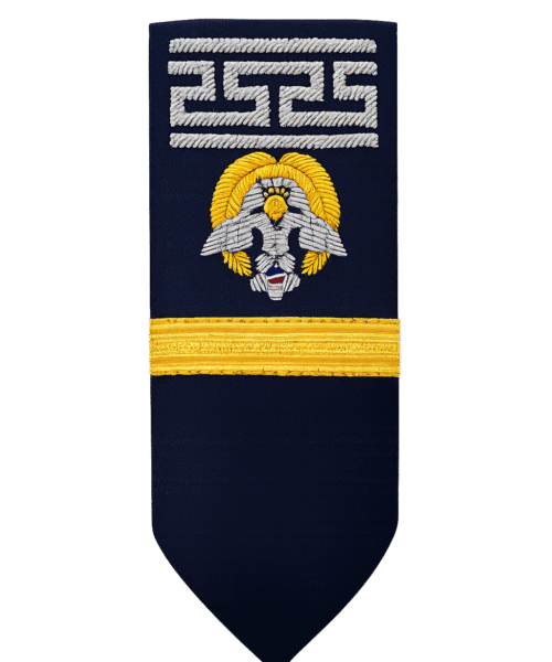 custom bullion hand embroidery